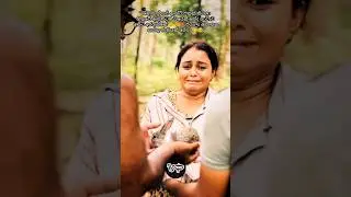 අම්මෝ අන්තිමට දාන හිනාව කොහොමද 😲😌😍🥰❤️ #hirunews #ronsoyaa #patakurullo #ronsoyaa #visekari #mayavi