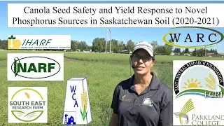 Novel Sources of P for Canola 2022