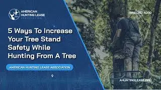 5 Ways To Increase Your Tree Stand Safety | American Hunting Lease Association