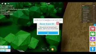 Roleplay world how to earn money ( part 1 roblox )