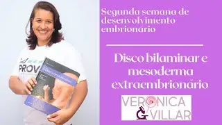 Segunda semana de desenvolvimento embrionário. Disco bilaminar e mesoderma extraembrionário.