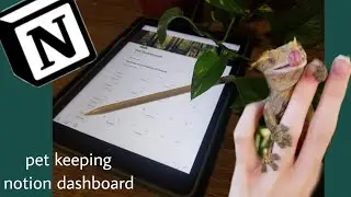 how i use NOTION as an exotic pet keeper