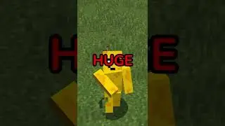 The Illegal Minecraft Skin