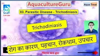 AquacultureGuru - AquaTreat - Trichodiniasis -  a prorozoan ciliate- ectoparasite!!