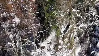 Snowfall, unspecified location (Cuneo province?), Italy, 03/12/20