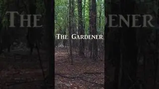 don't let the gardener find you #horror #shortfilms