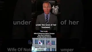 Ex-CIA Analyst, Wife of Never Trumper Reporter Indicted In Foreign Spying Scheme #shorts #spy #cia