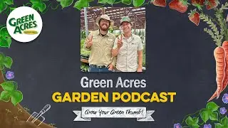 Sacramento's Community Garden Summer Harvest