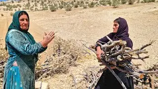 Unexpected help from a homeless mother to a nomadic mother