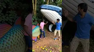 Two Brothers Mistakenly Step on Whale & Rainbow Fish&mdash;Scary Reaction! 😱🐳🐠😢