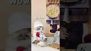 The cat tries popcorn