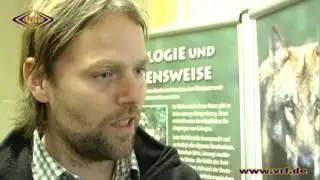 05/13 Faszination Wolf - Spurensuche im Vogtland