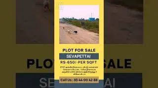 Plot for sale @ SEVVAPET / DTCP Approved land sale in #sameera garden / Low budget Plot in sevvapet