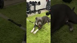 Exercise or no exercise