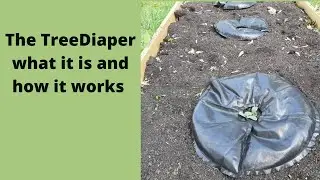 The Tree Diaper what it is and how it works