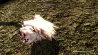 Kwama Forager, Skywind, the resurrection of Morrowind