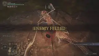 EASY DUO BOSS Kindred of Rot Boss Fight ELDEN RING
