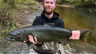 Creature Feature: Chinook (King) Salmon