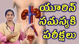 యూరిన్ సమస్యకి పరీక్షలు Tests Of Urinary Tract Infection UTI Homeopathy Treatment Medicine Cure