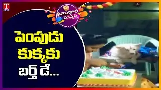 Pet Dog Birthday Celebration Grandly In Mahabubabad | T News