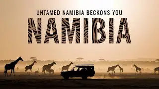 🌍 Namibia on a Budget: Your Ultimate Travel Guide! 🇳🇦✨