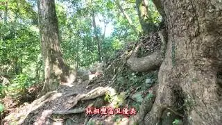 20240803烏來內洞森林遊樂區+信賢步道