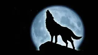 Le cri du loup