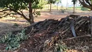 N p properties  1 acre  8 gunte pure red soil total 60 lakhs  6360446978 general property