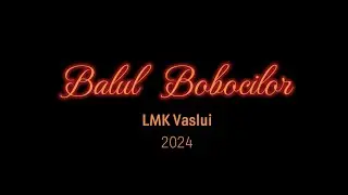 Balul Bobocilor LMK 2024