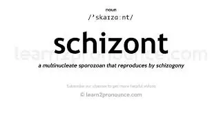 Произношение шизонт | Определение Schizont