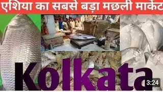 Kolkata Bow Bazar Machhali Market 