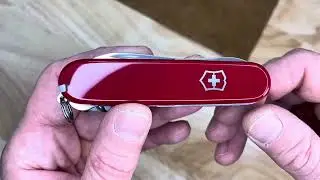 Victorinox Compact — мультитул SAK крупным планом