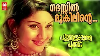 പി.ഭാസ്കരൻ രാഘവൻ മാഷ് കൂട്ടുകെട്ടിൽ സൂപ്പർഹിറ്റ് പ്രണയ ഗാനം | Malayalam Song | Prem Navas