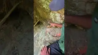 Really Good Sound for Cracking? Gem & Gold Mining Sri Lanka