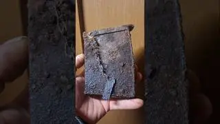 ww1 german graben magazine find from rigasfrontline easternfront #germanmilitary #metaldetecting #xp