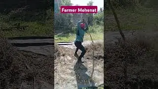 #trending #funny #viralvideo #comedy #farming #farmlife #farmer