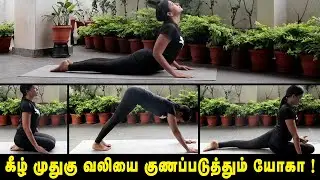 Yoga For Lower Back Pain Tamil | கீழ் முதுகு வலியால் அவதியா?