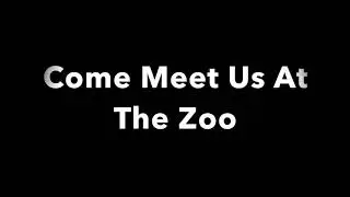 Meet Us at the Zoo (Slow Song)