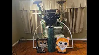 Dig Quad - XLights - Cats Light Show - Monster Mash