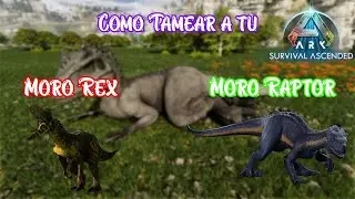 COMO TAMEAR AL MORO REX Y MORO RAPTOR - Ark Ascended - Tutorial
