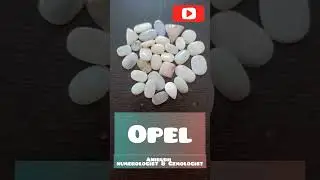 Opel Stones | Viral shorts