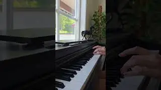 وقتی نت&zwnj;ها حرف می&zwnj;زنن        Let the Piano Tell the Story