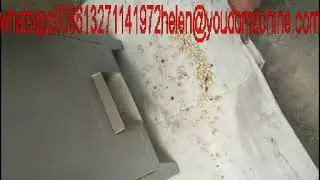 Almond hazelnut cashew shell kernel separator machine cracking machine