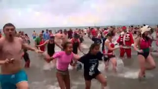 The Courage Polar Bear Dip