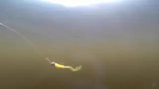 Southern Pro Tripple Tip Grub 1 5''