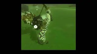Lore accurate bouncy link vs Lynel #totk #glitch
