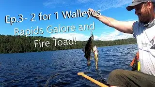 The Spanish River- 2 for 1 Walleyes, Rapids Galore, and Fire Toad!