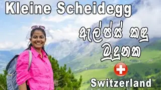 Kleine Scheidegg | Jungfrau Region | Ski Area | Eiger North Face | Switzerland | Sinhala | VLOG #75