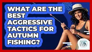 What Are The Best Aggressive Tactics For Autumn Fishing? - Chasing Big Fish