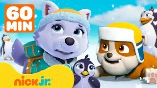 PAW Patrol | Winterliche Schnee-Rettungen mit Rubble & Everest! | 1 Stunde | Nick Jr. Deutschland